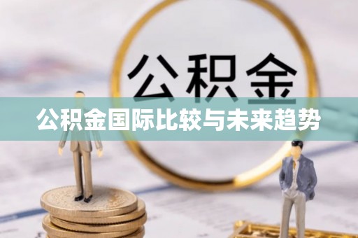 安乡公积金国际比较与未来趋势