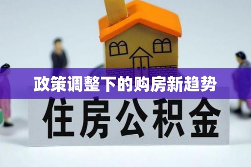 安乡政策调整下的购房新趋势