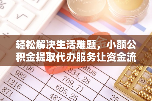 安乡轻松解决生活难题，小额公积金提取代办服务让资金流动更便捷