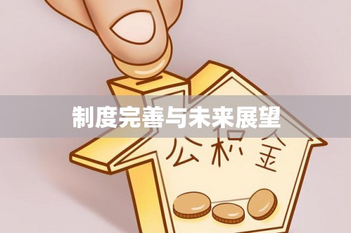 安乡制度完善与未来展望