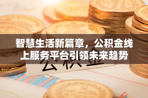 安乡智慧生活新篇章，公积金线上服务平台引领未来趋势