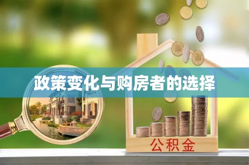 安乡政策变化与购房者的选择