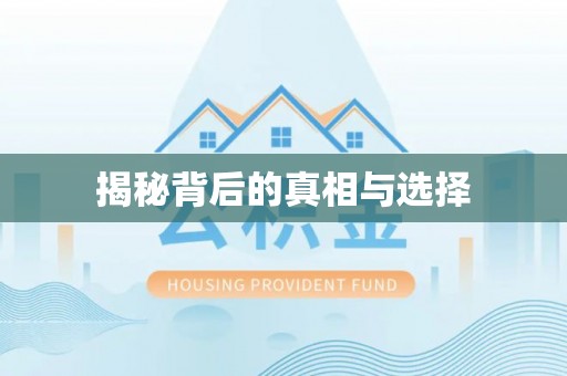 安乡揭秘背后的真相与选择