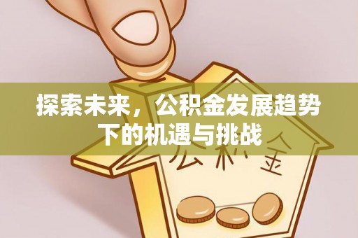 安乡探索未来，公积金发展趋势下的机遇与挑战