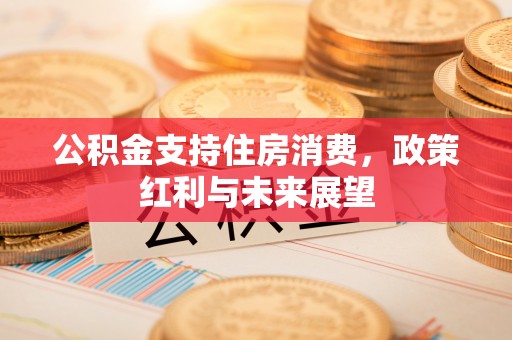 安乡公积金支持住房消费，政策红利与未来展望