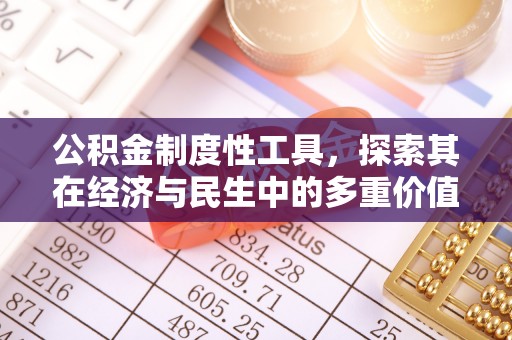 安乡公积金制度性工具，探索其在经济与民生中的多重价值