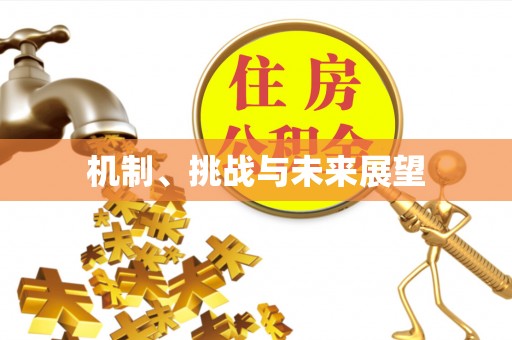 安乡机制、挑战与未来展望