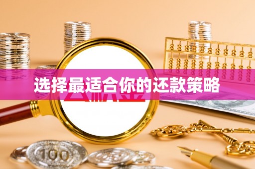 安乡选择最适合你的还款策略